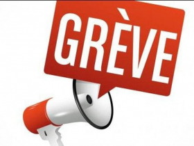 greve_2023-02-22_12-14-37_130.jpg
